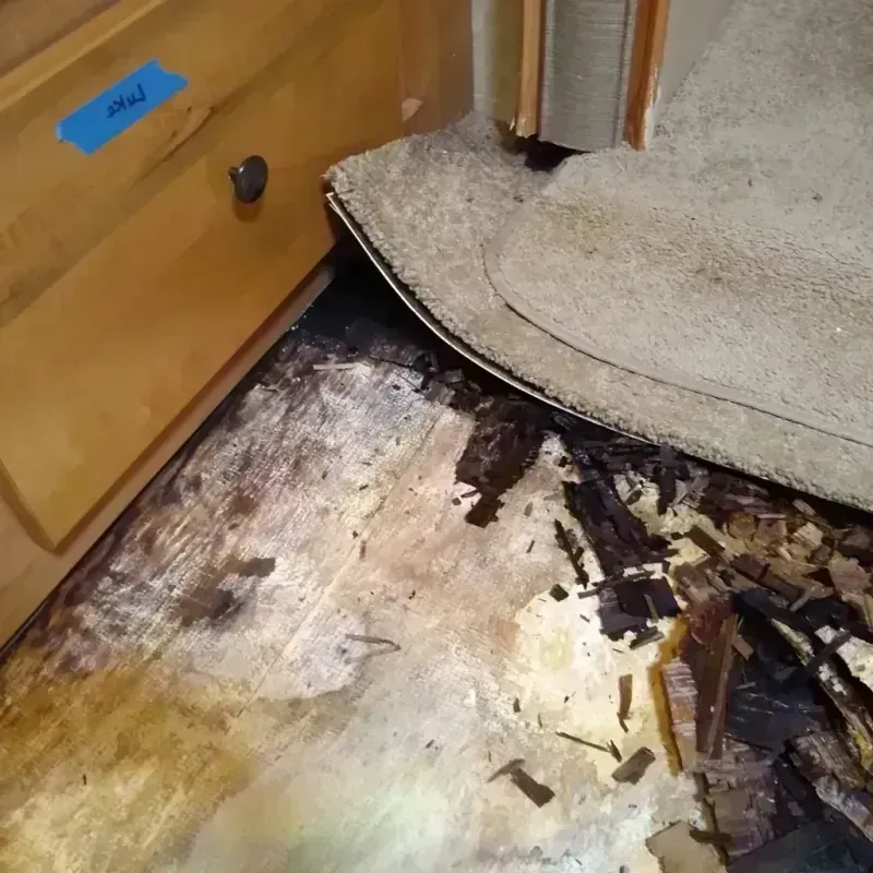 Wood Floor Water Damage in Northwest Arctic Borough, AK